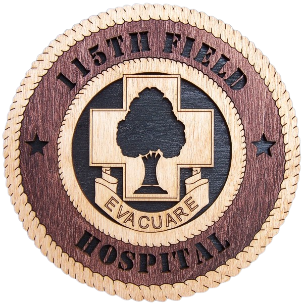 115th Combat Support Hospital
